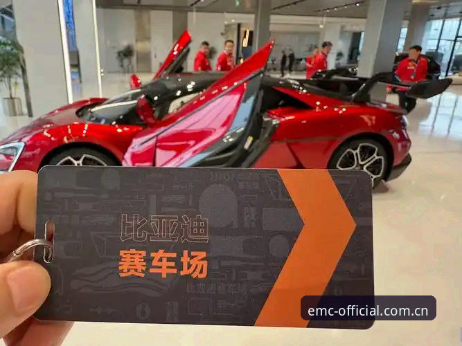 老用户分享emc易倍平台全球热门赛事体验心得，这些细节你不可错过